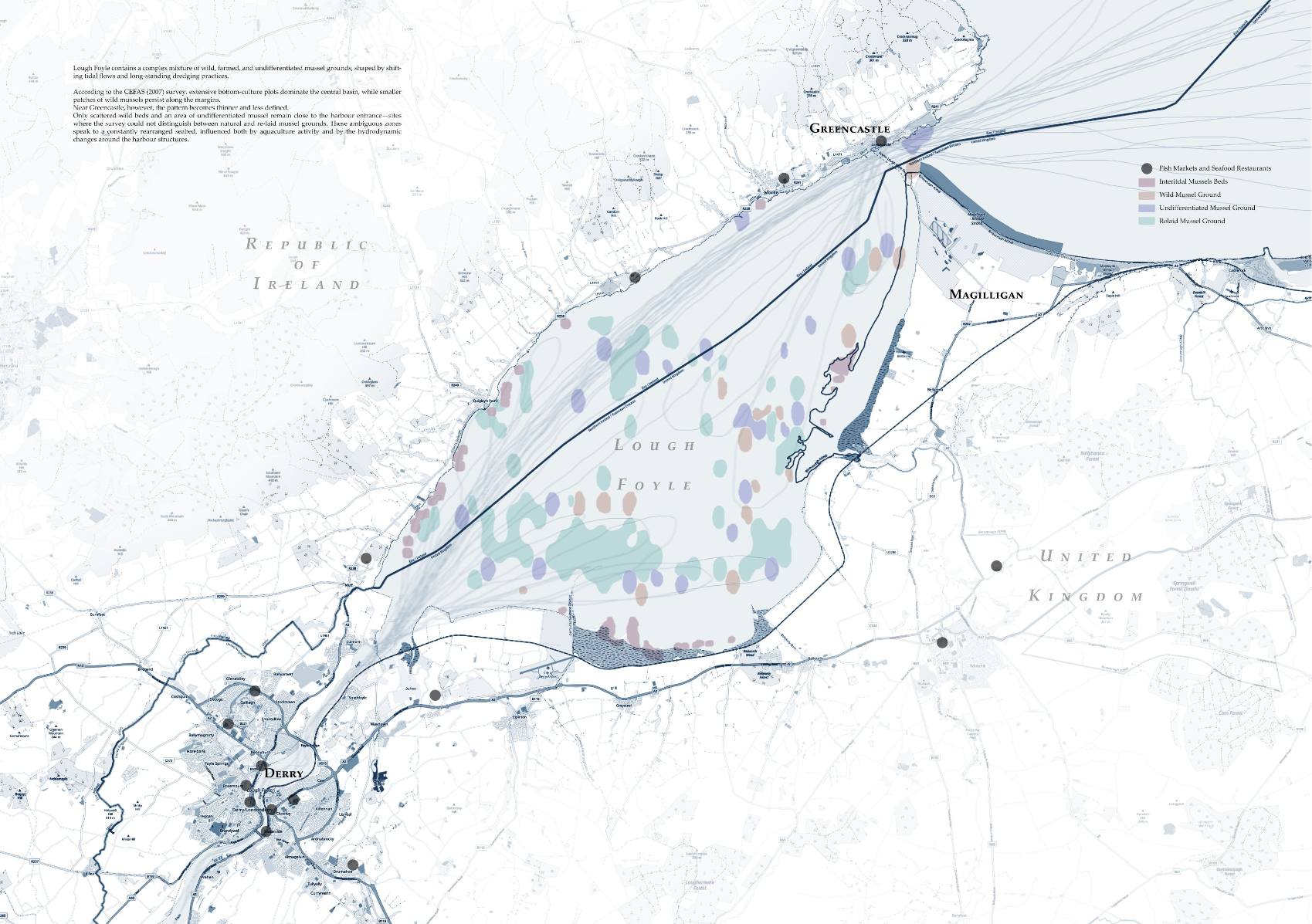 Shellitory: Intertwining the Shifting Edge at Greencastle, portfolio item 6