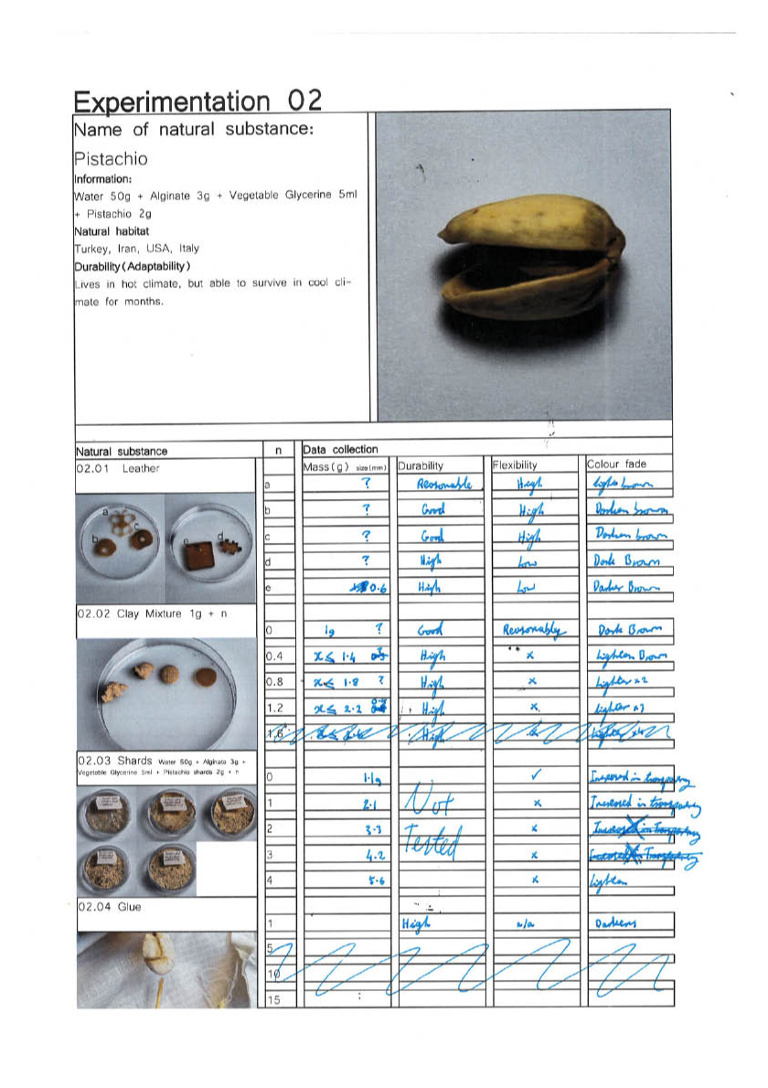 Final major project: Nuts, portfolio item 45