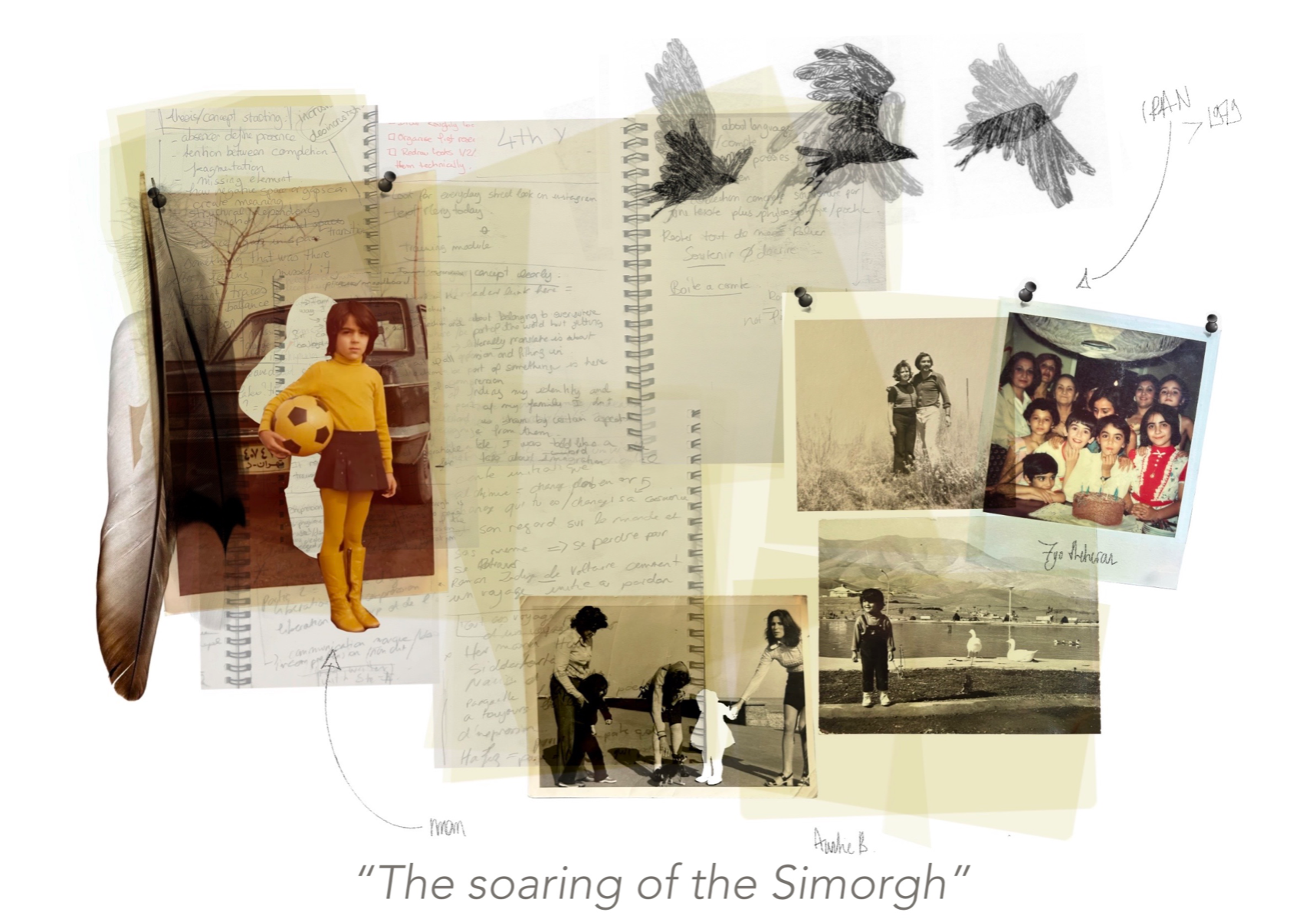 The soaring of the simorgh, portfolio item 3