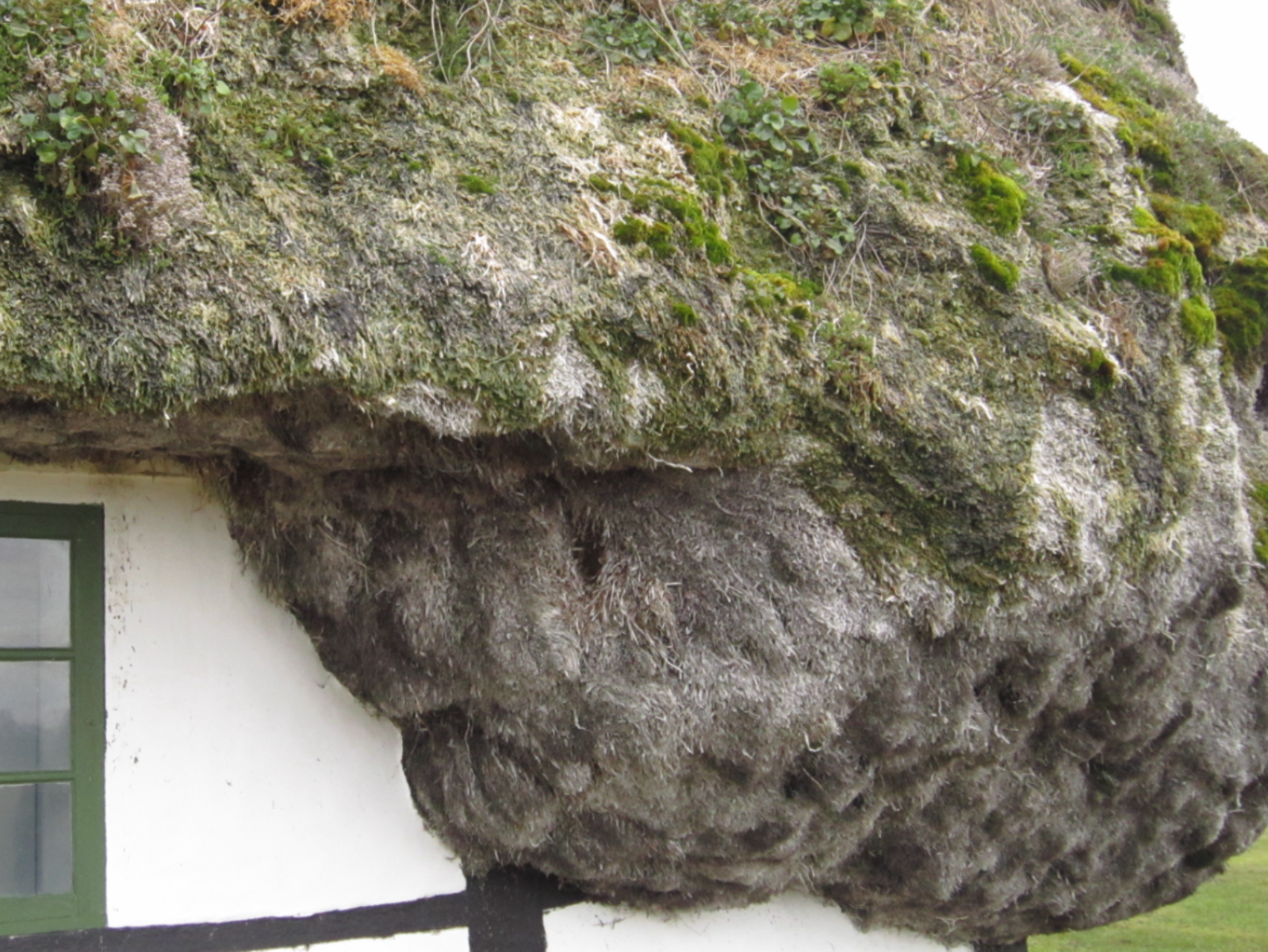 Knøv – Turning eelgrass into the furniture of the future, portfolio item 8