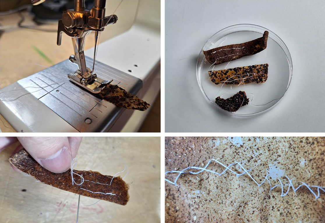 Final major project: Nuts, portfolio item 12