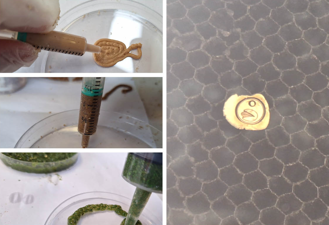 Final major project: Nuts, portfolio item 14