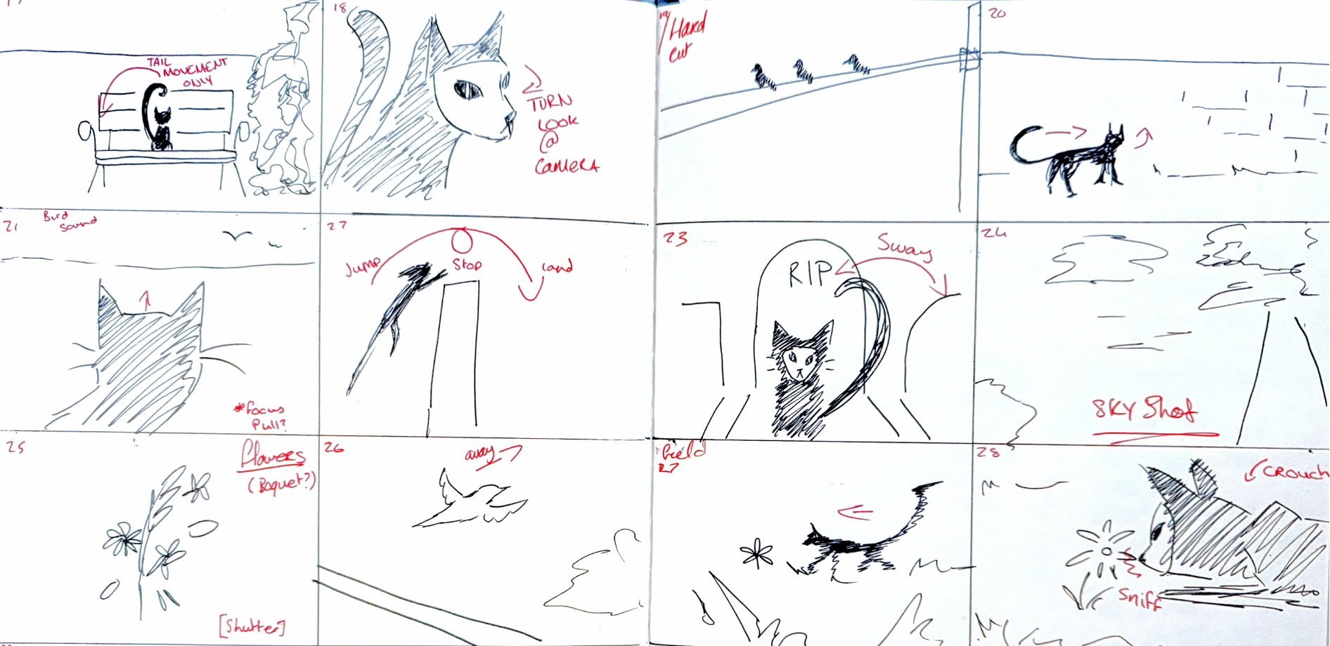 The End, The Beginning, portfolio item 10