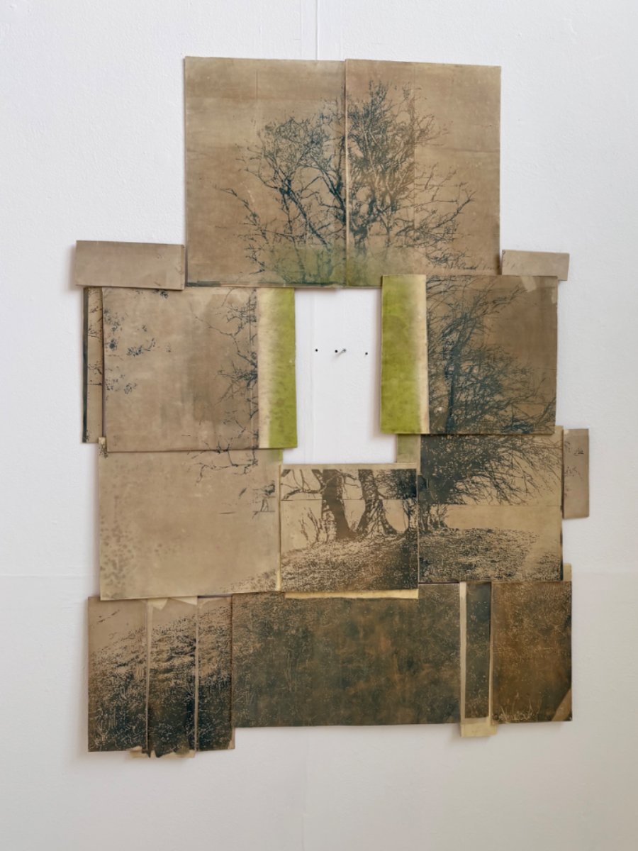Mount, bramble, evanescent, portfolio item 4
