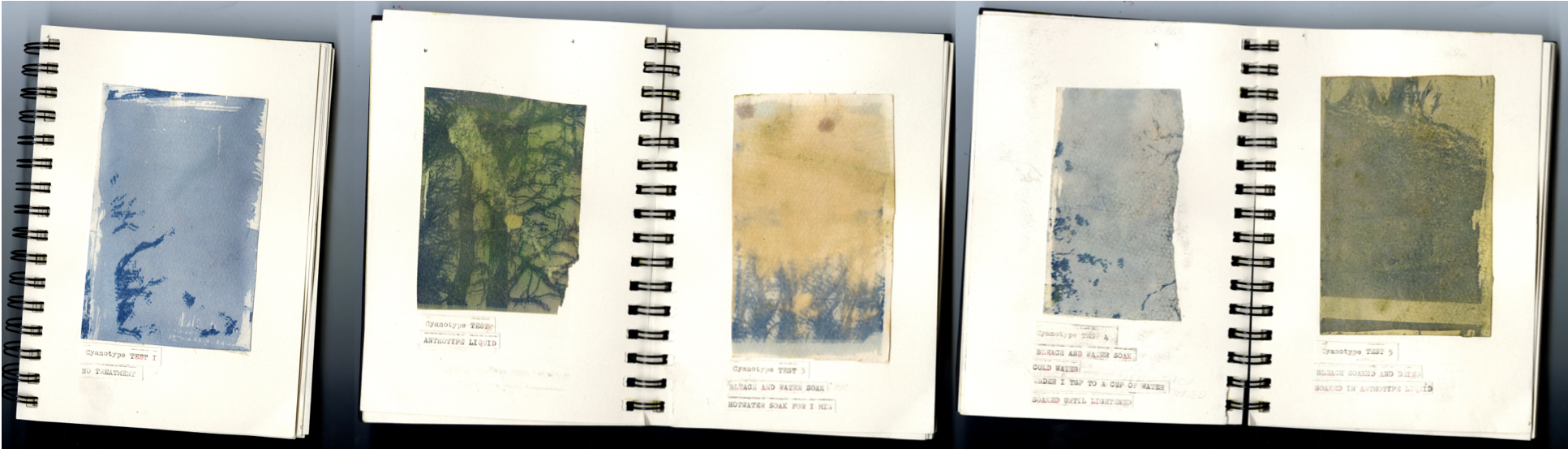 Mount, bramble, evanescent, portfolio item 11