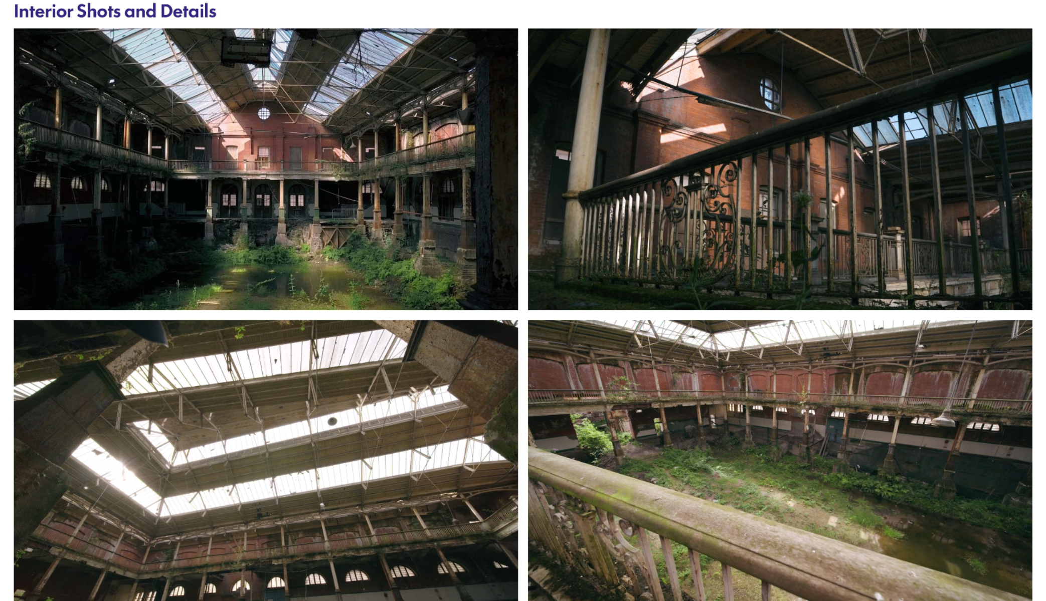 Iveagh Theatre, portfolio item 5