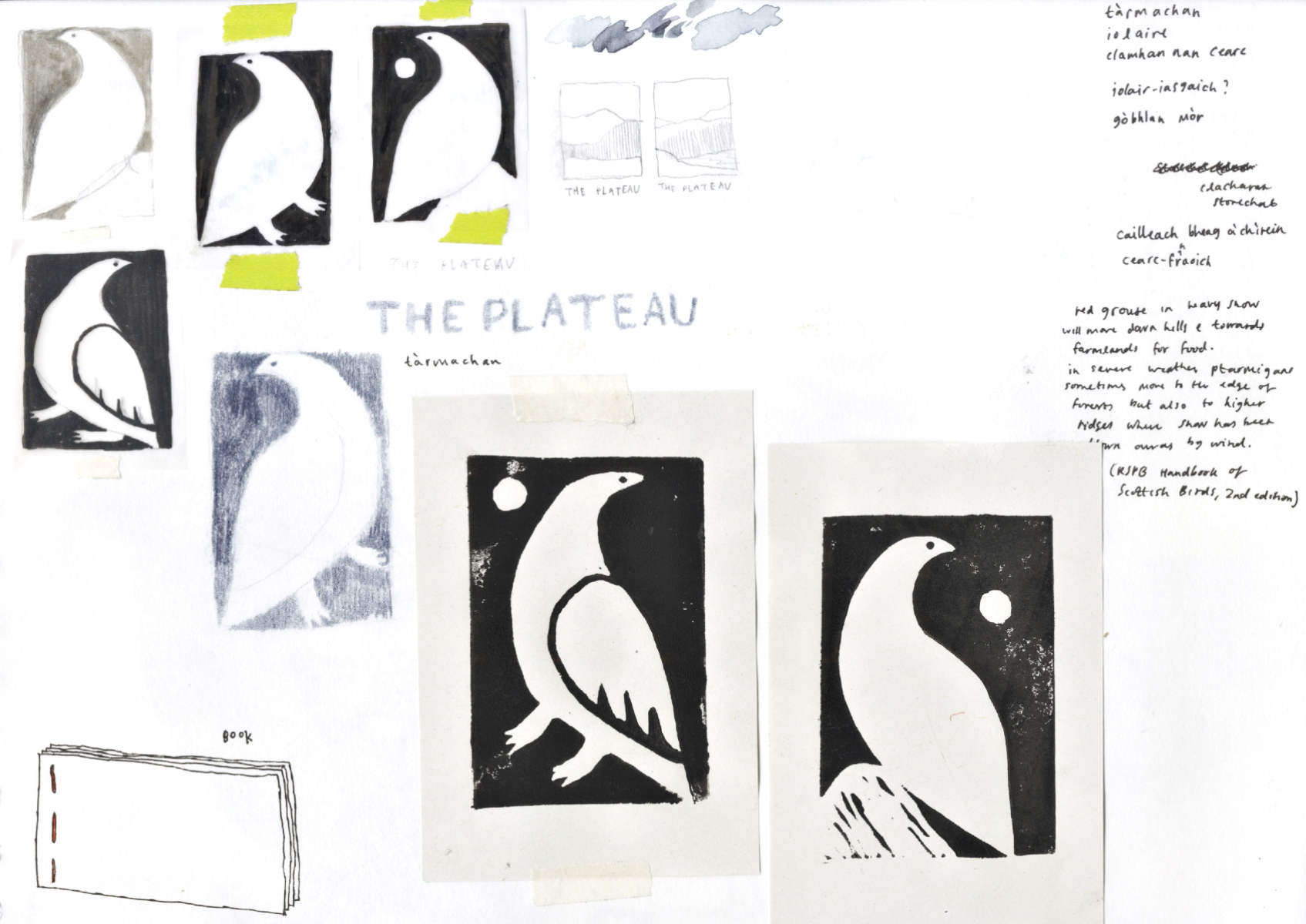 The plateau (in response to the living mountain), portfolio item 8
