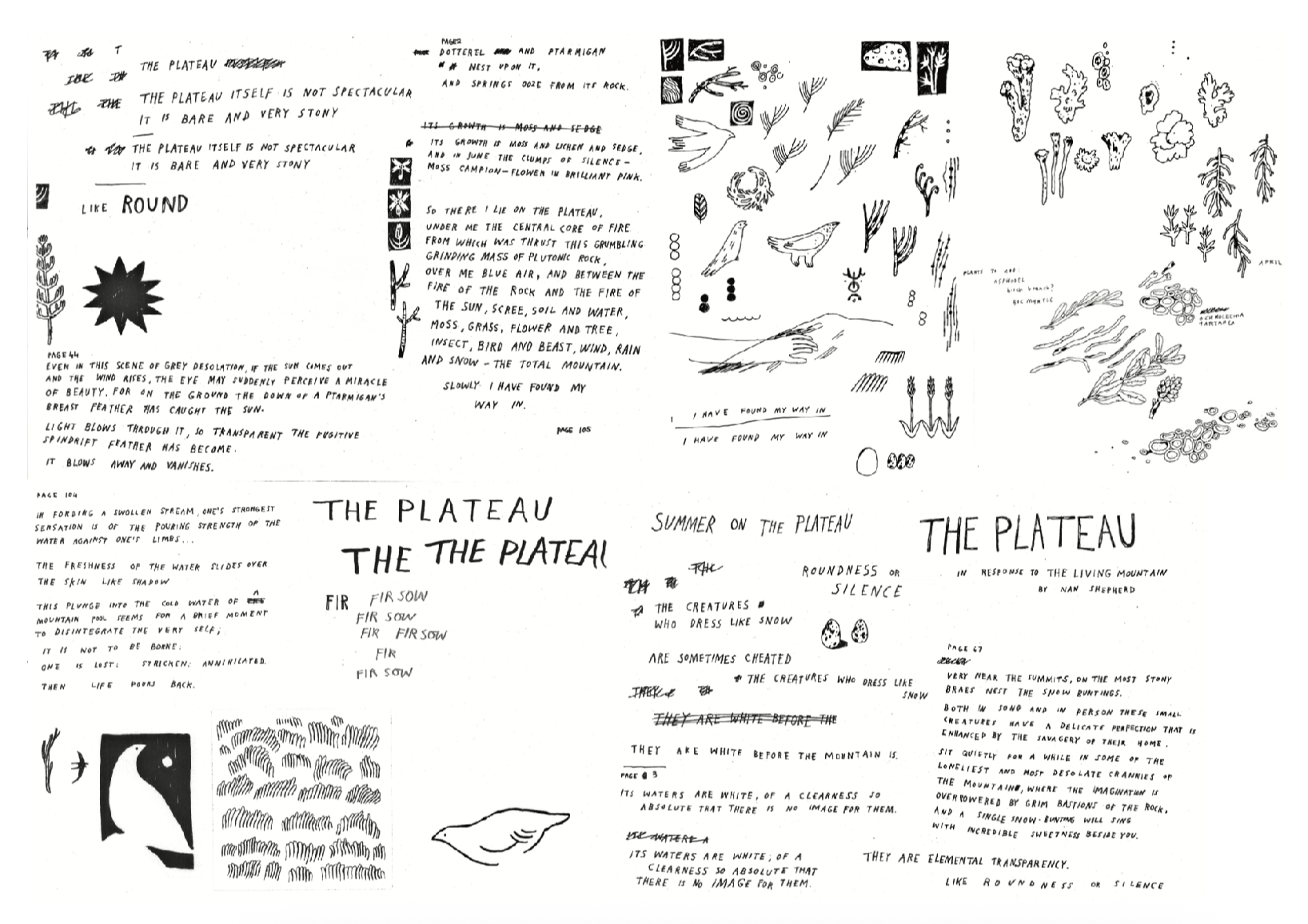 The plateau (in response to the living mountain), portfolio item 11