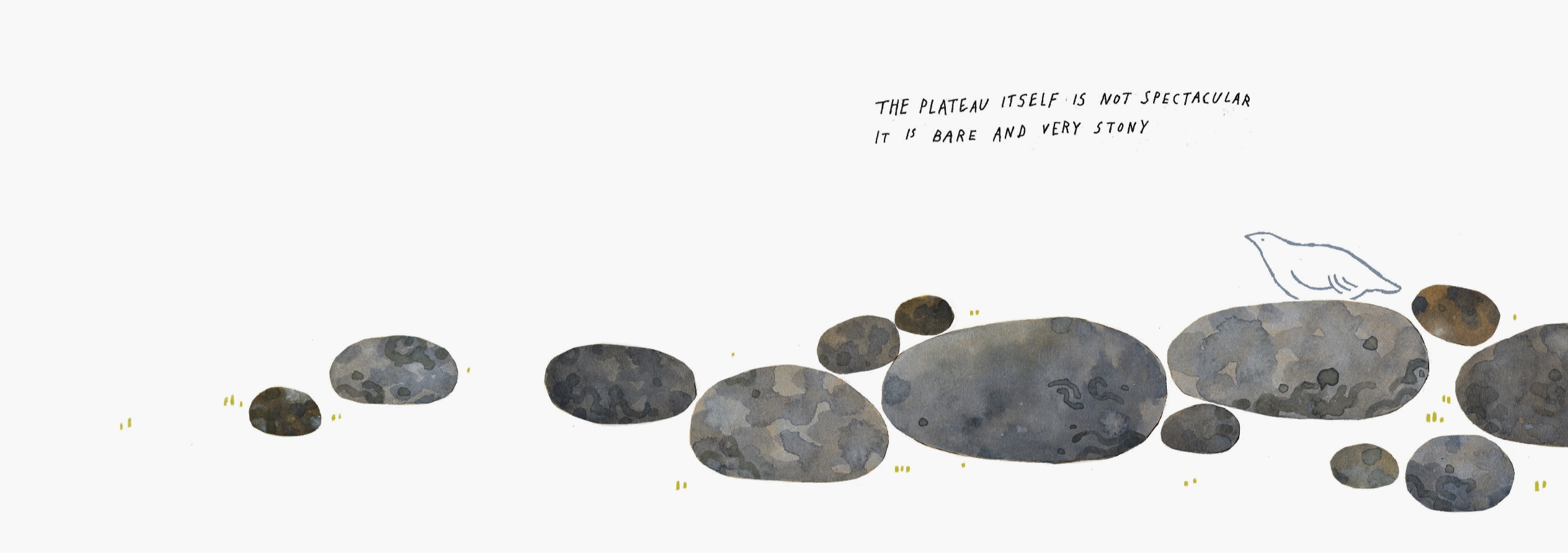The plateau (in response to the living mountain), portfolio item 2