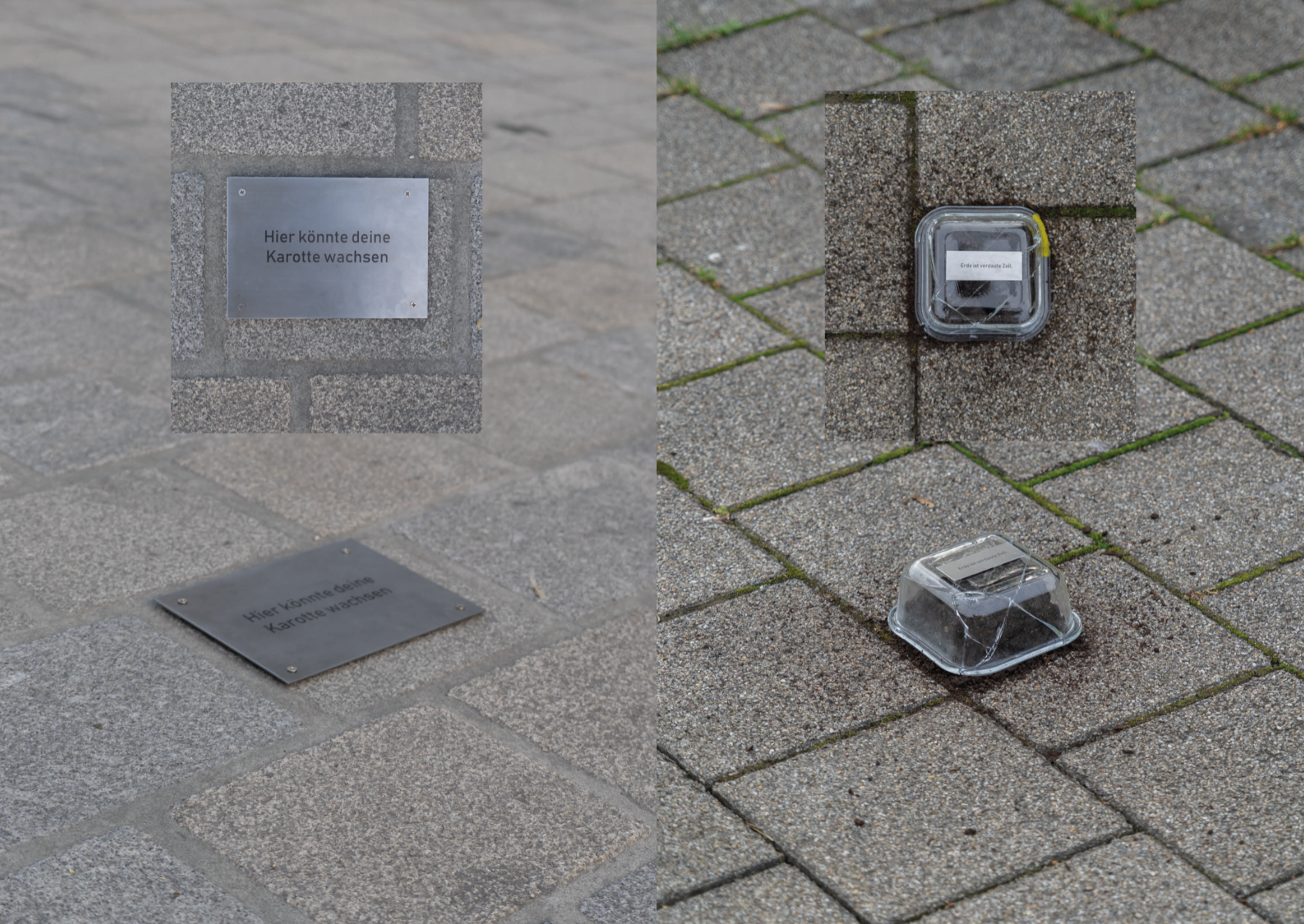 Kulturzentrum Erde, portfolio item 3