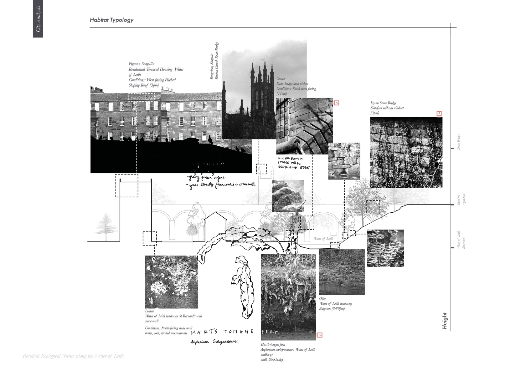 Entangled interfaces, portfolio item 18