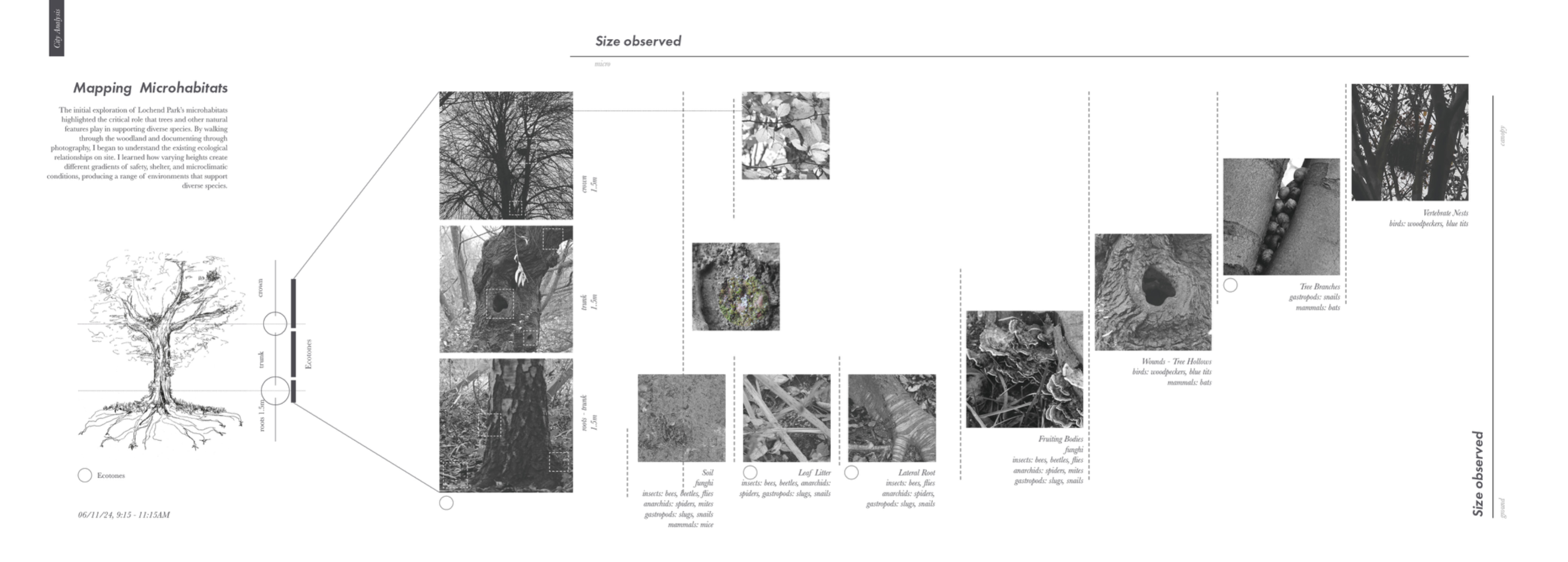 Entangled interfaces, portfolio item 19