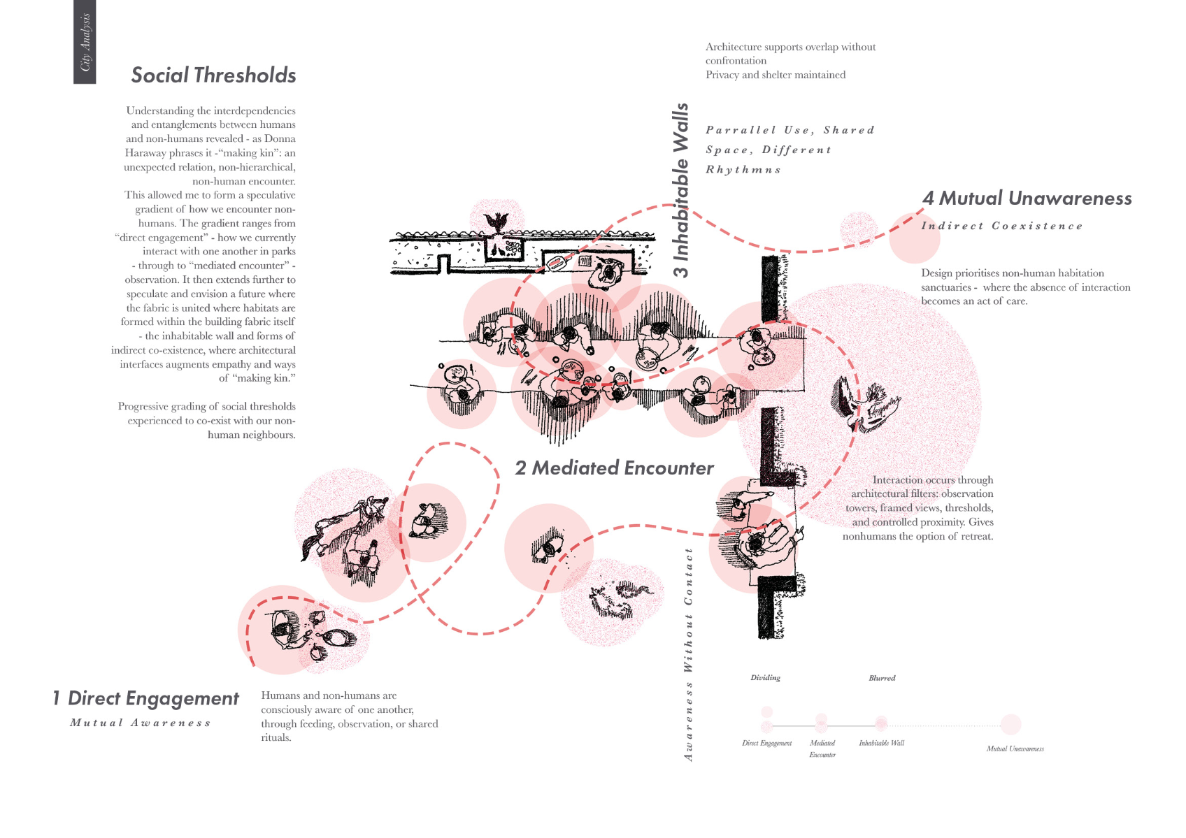 Entangled interfaces, portfolio item 21