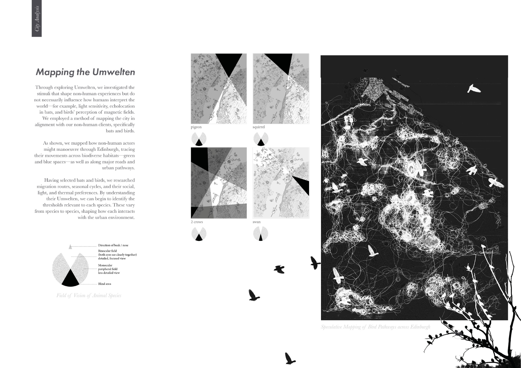 Entangled interfaces, portfolio item 20