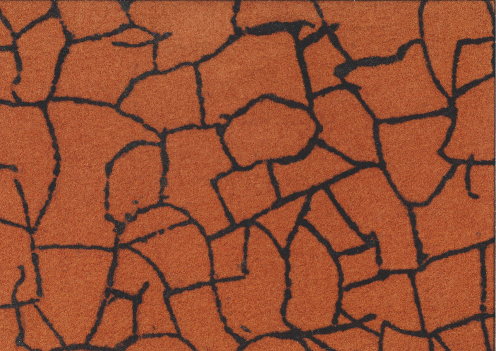 Terraformé, portfolio item 17