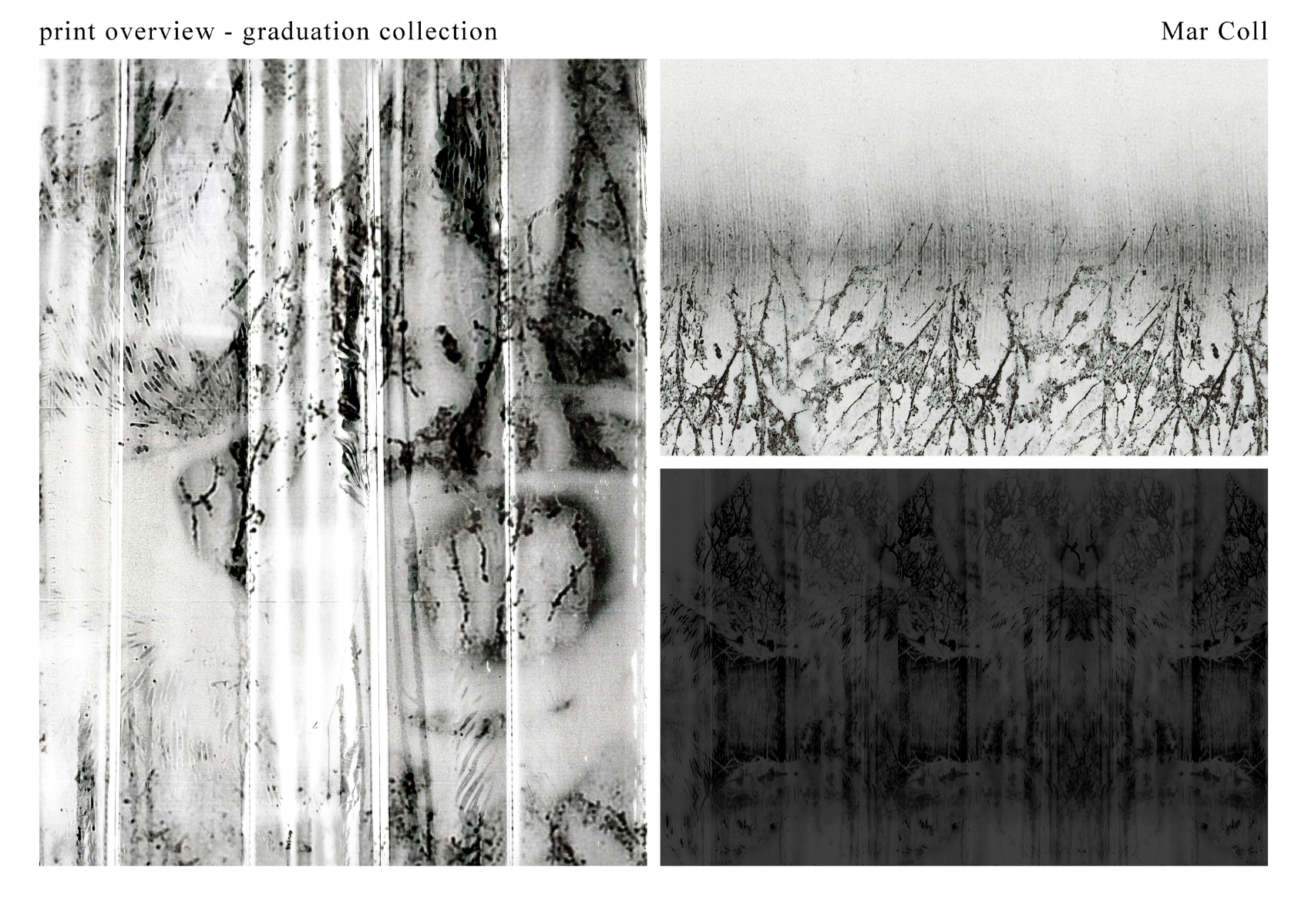 Obscura, portfolio item 7