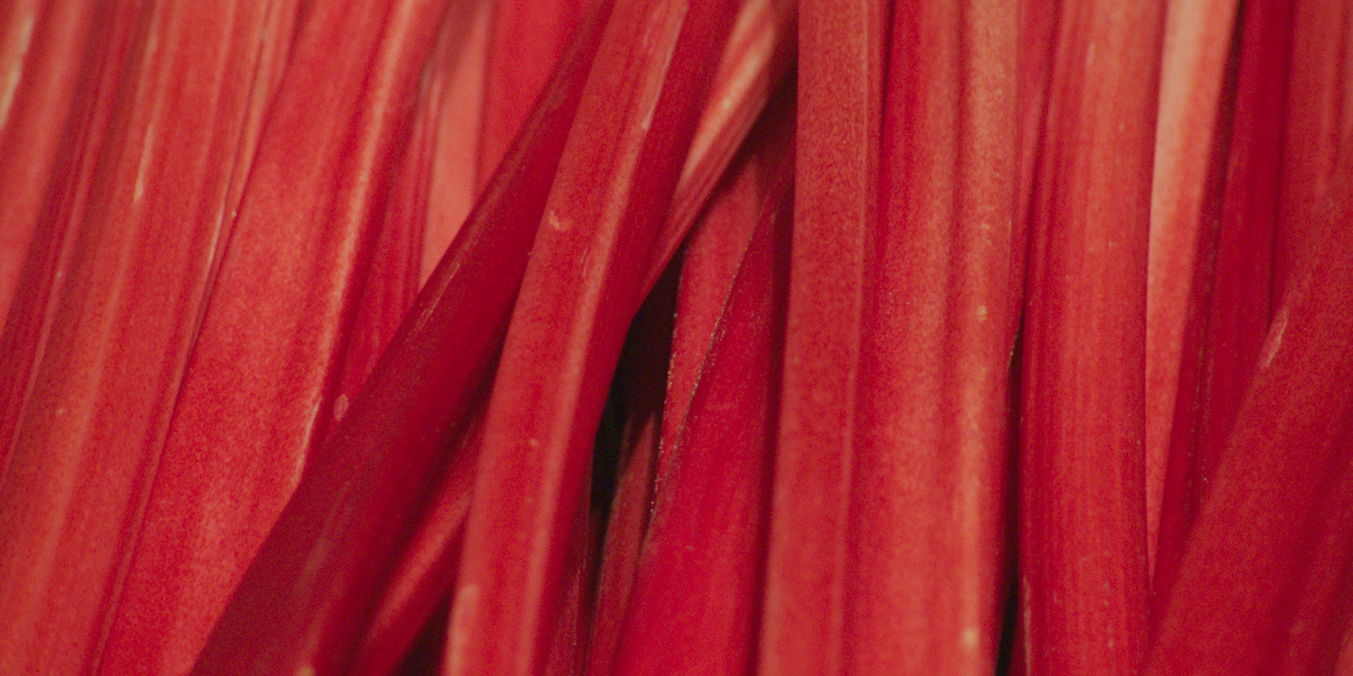 Cibus, portfolio item 3