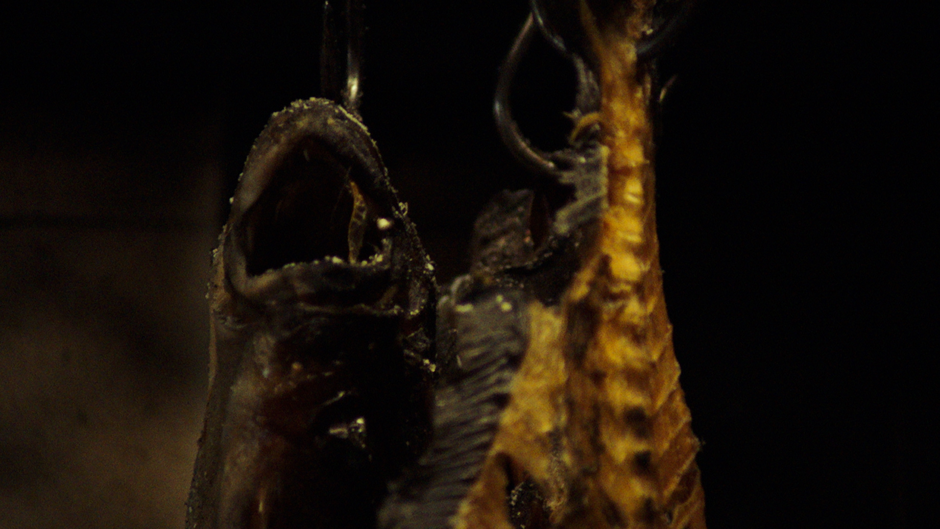 Cibus, portfolio item 4