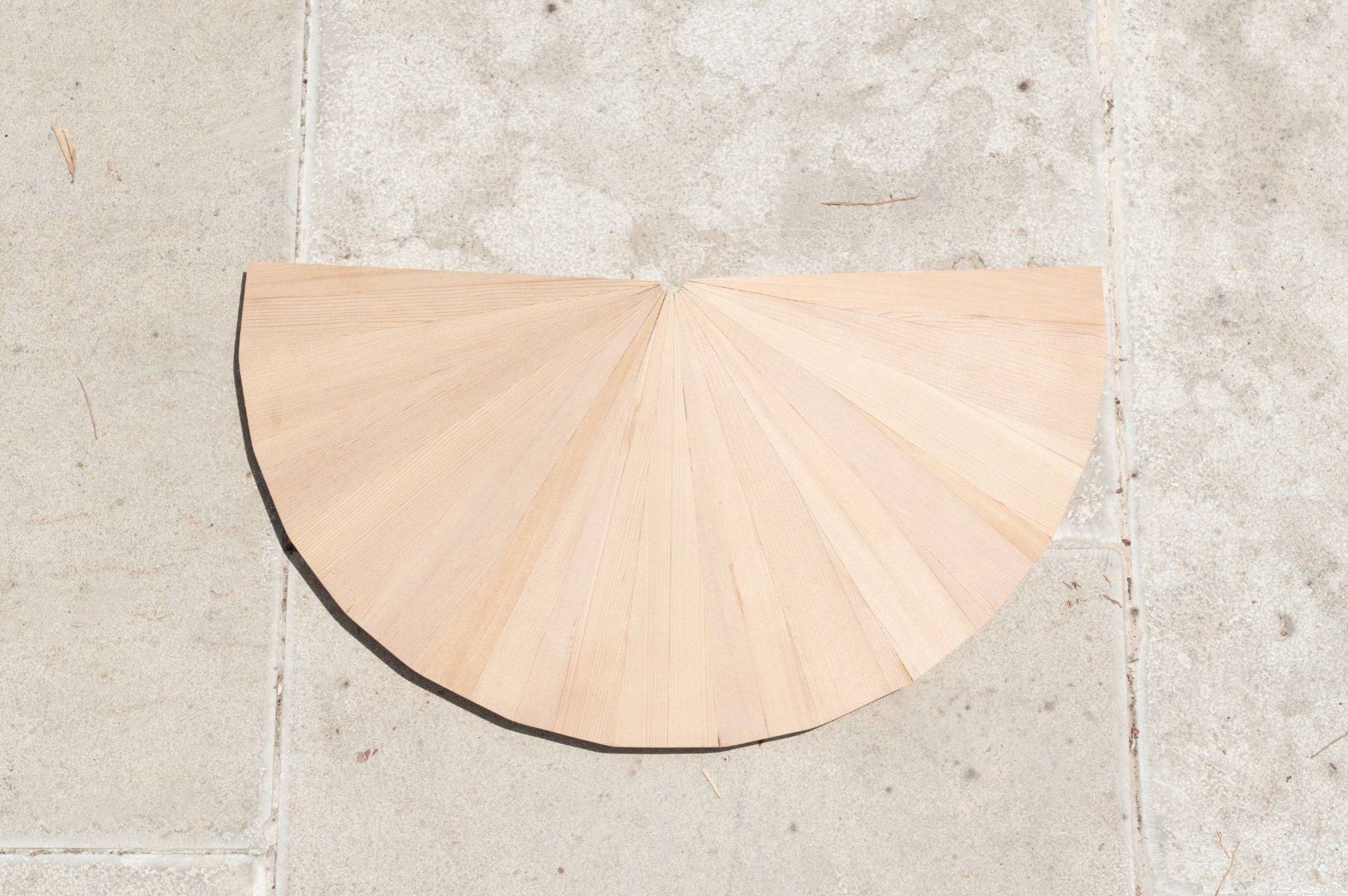 Urban Bark, portfolio item 3