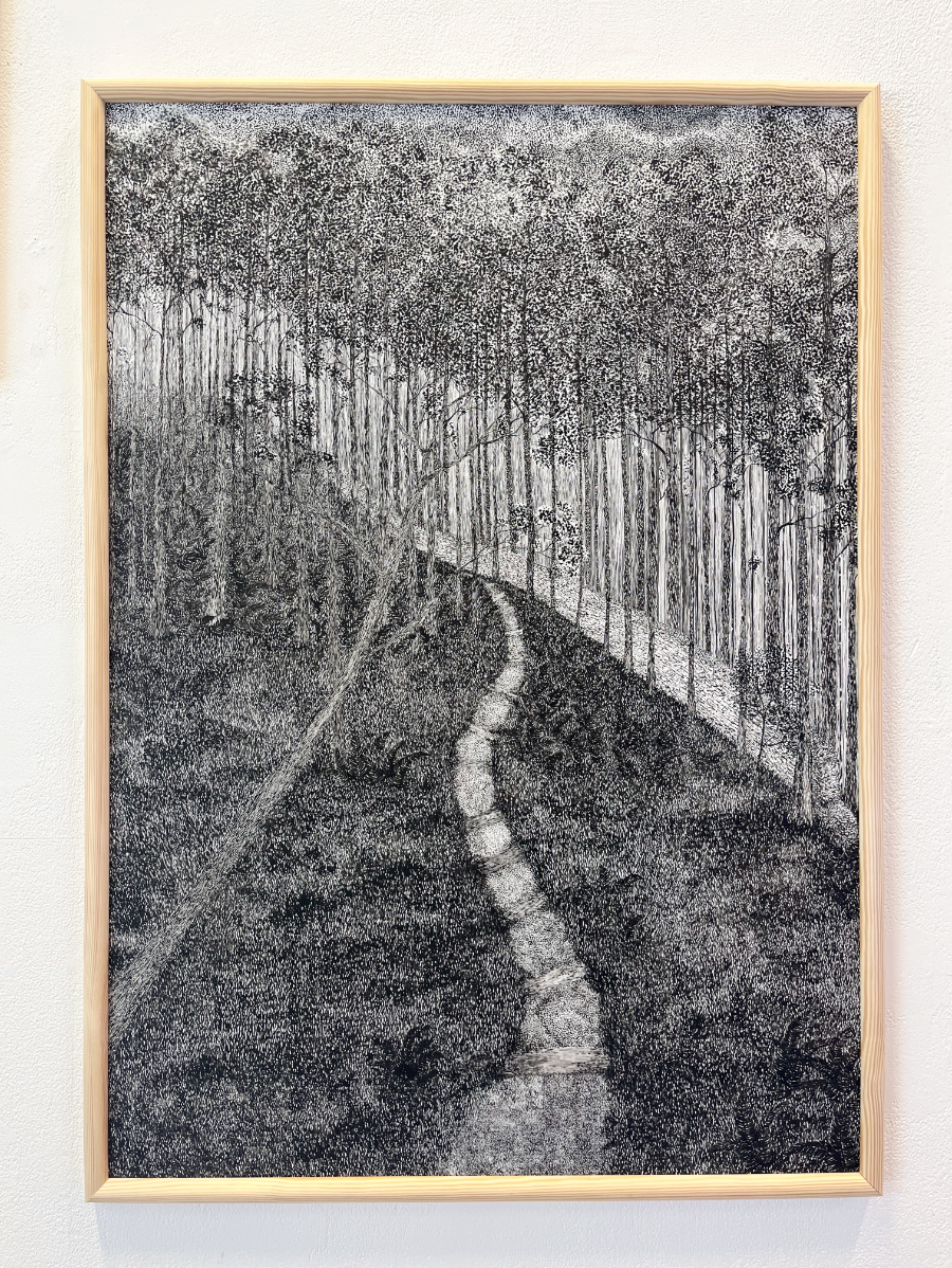 Understory, portfolio item 2