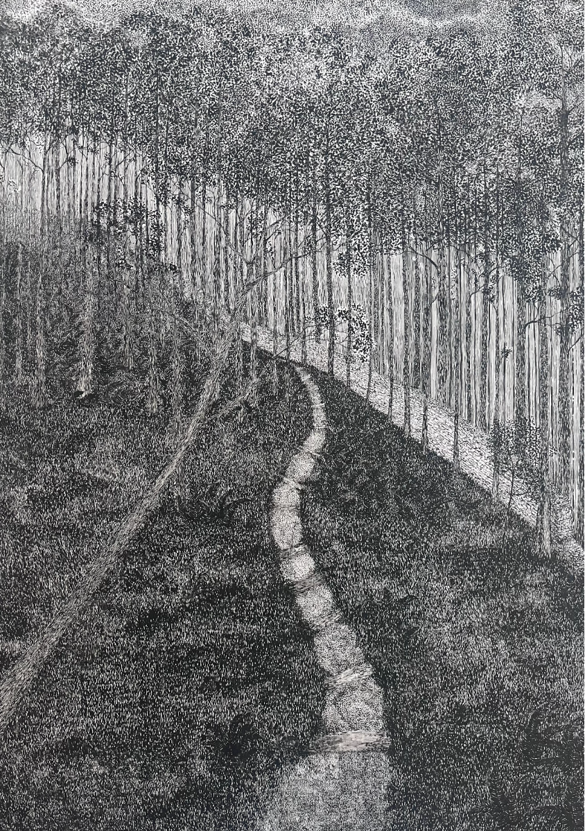 Understory, portfolio item 3