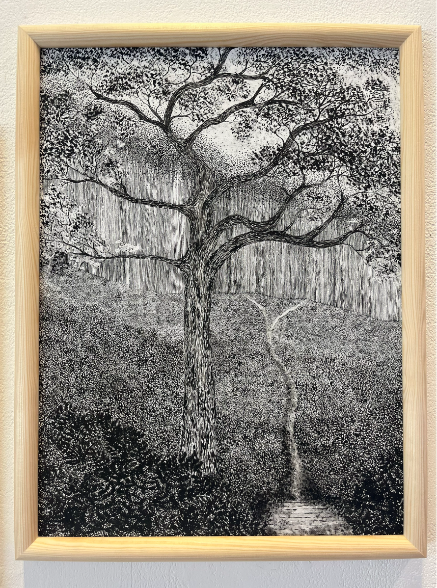 Understory, portfolio item 4