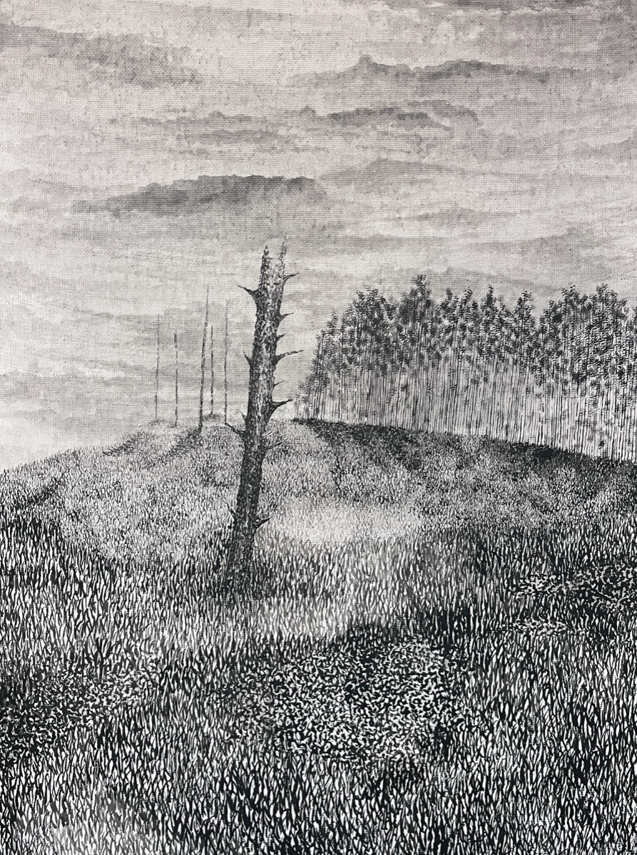 Understory, portfolio item 8