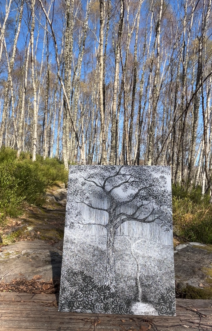 Understory, portfolio item 6