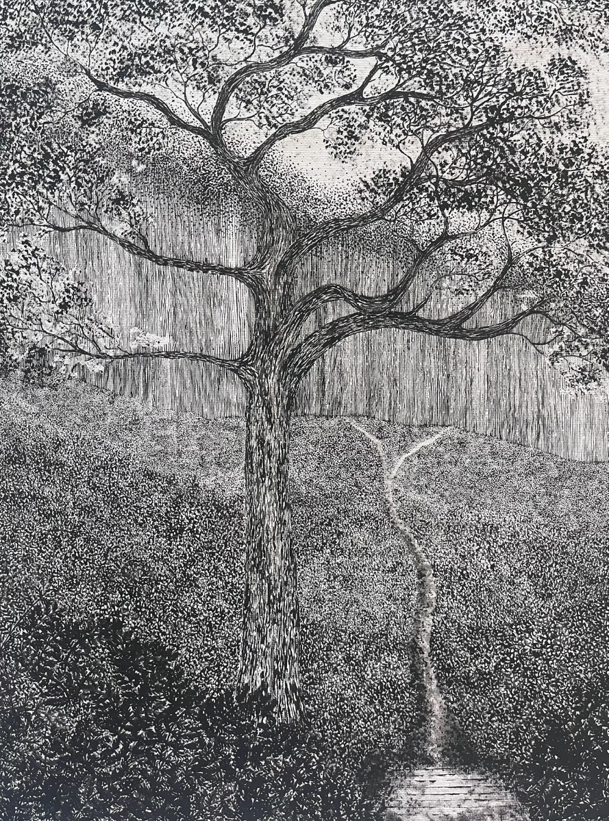 Understory, portfolio item 5