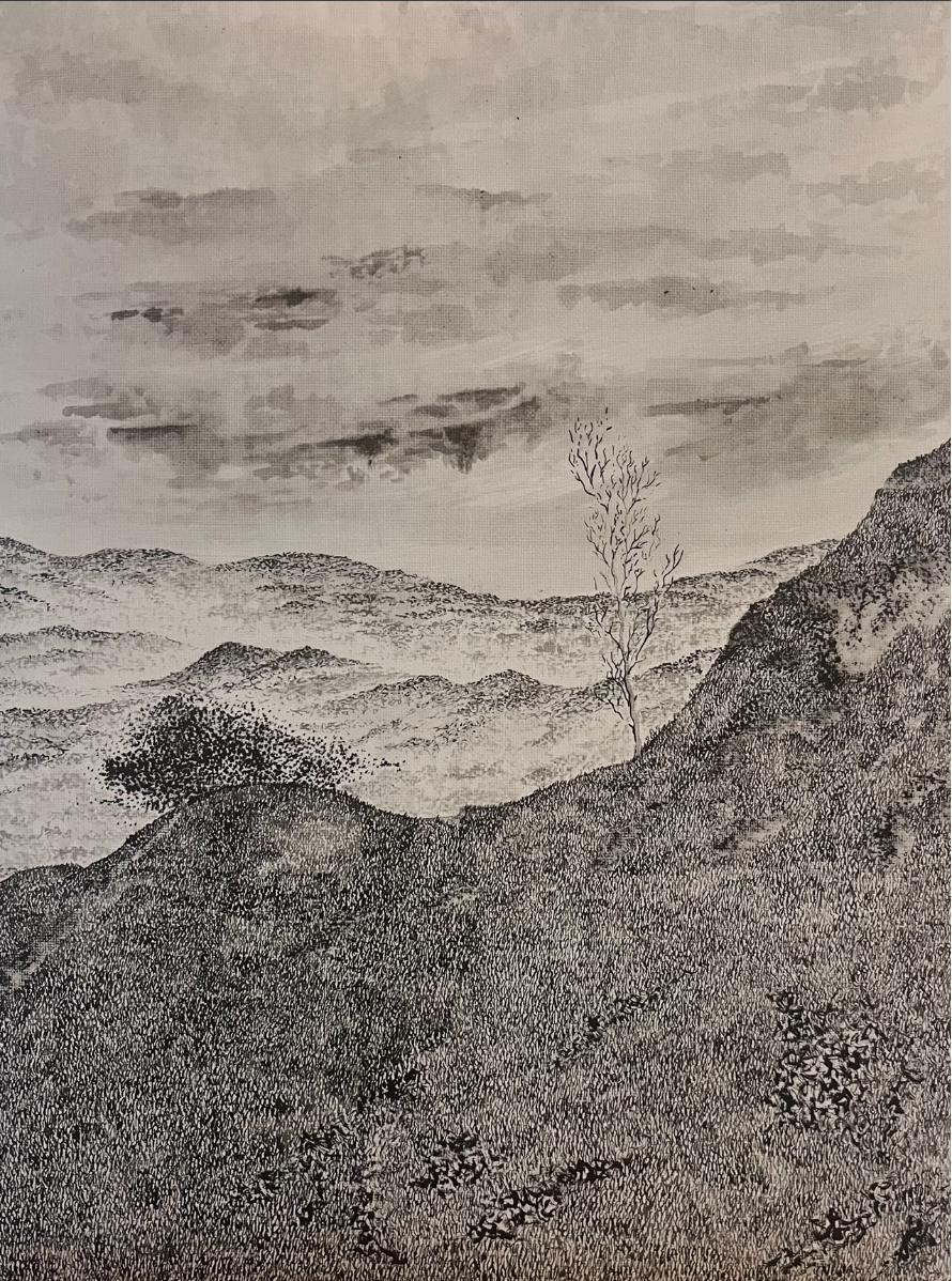 Understory, portfolio item 10
