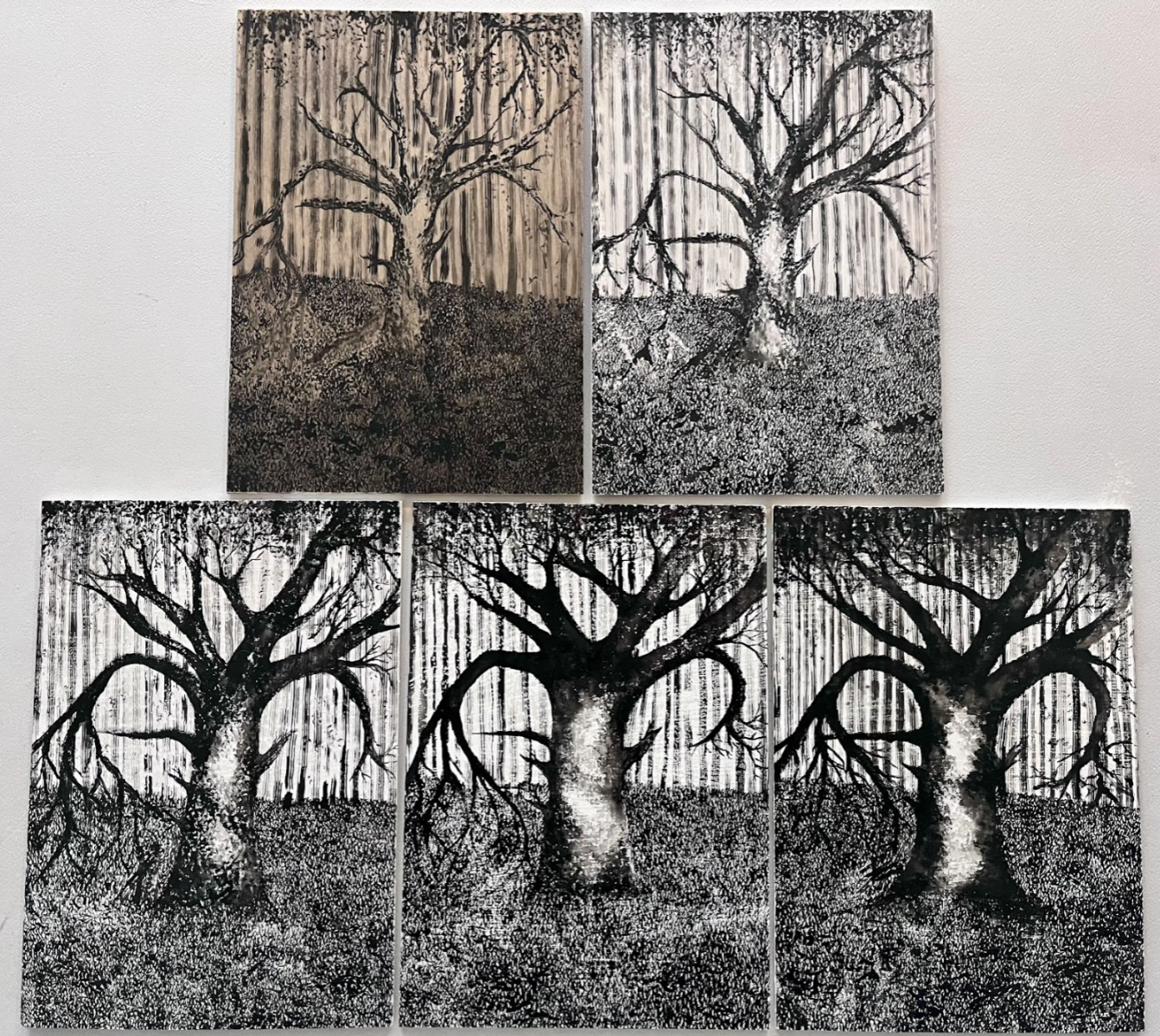 Understory, portfolio item 12