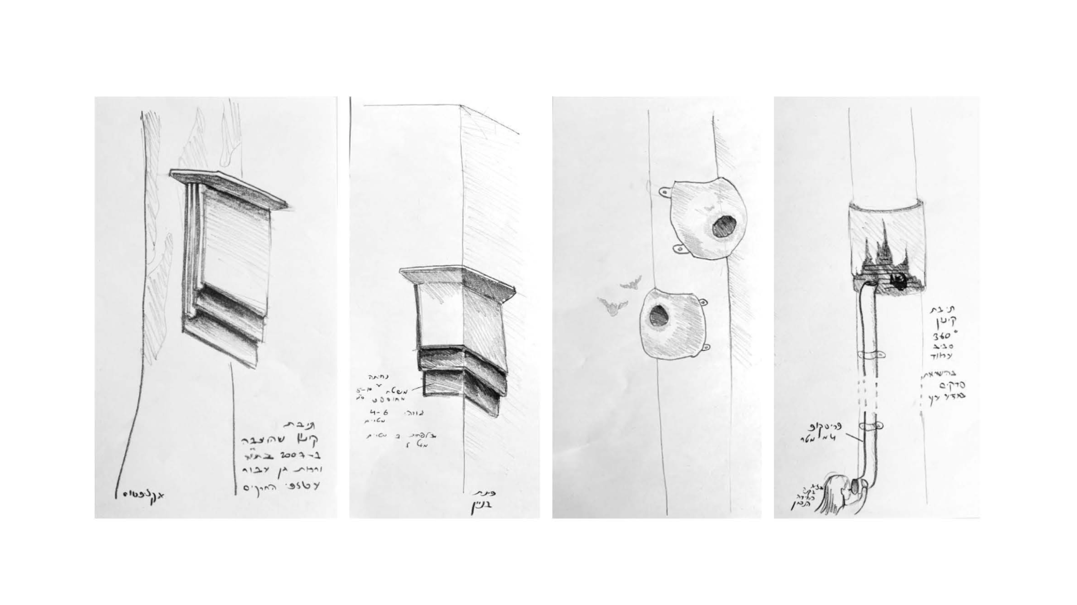 Urban Bark, portfolio item 12