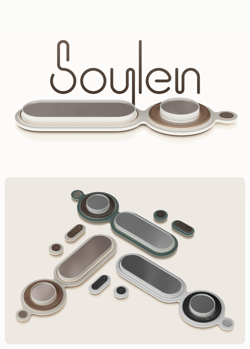 Soylen - home weather station, portfolio item 2