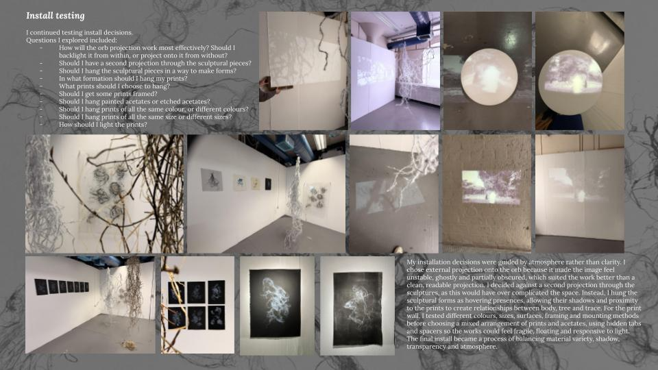 They That Sorrow / Lucht an Dobróin, portfolio item 18