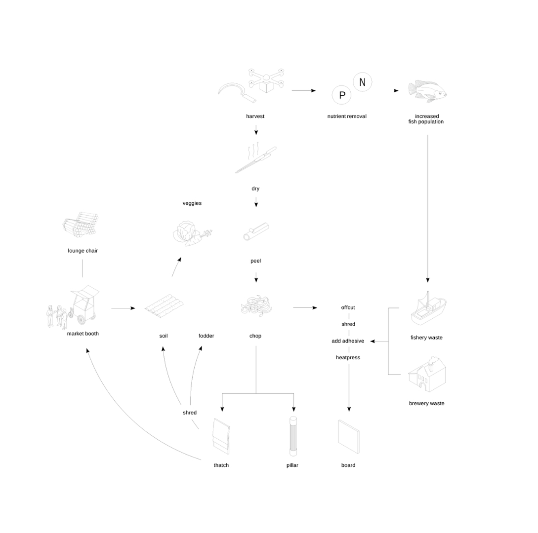 The Reed Cycle community, portfolio item 4