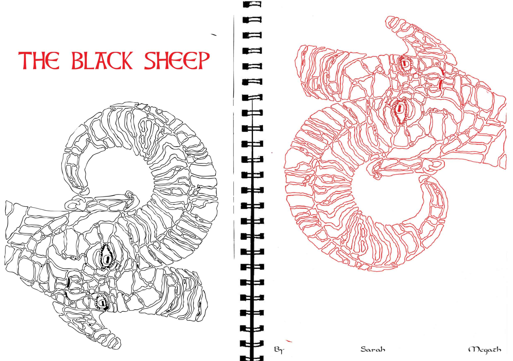 The Black sheep, portfolio item 2