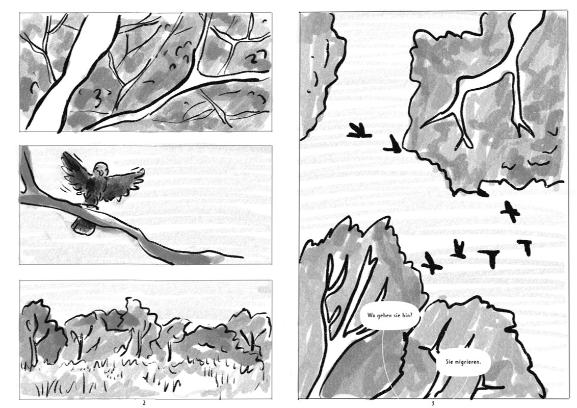 Hope & Coercion, portfolio item 3