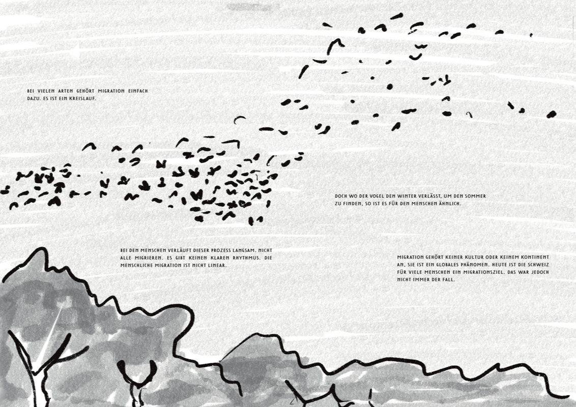 Hope & Coercion, portfolio item 4