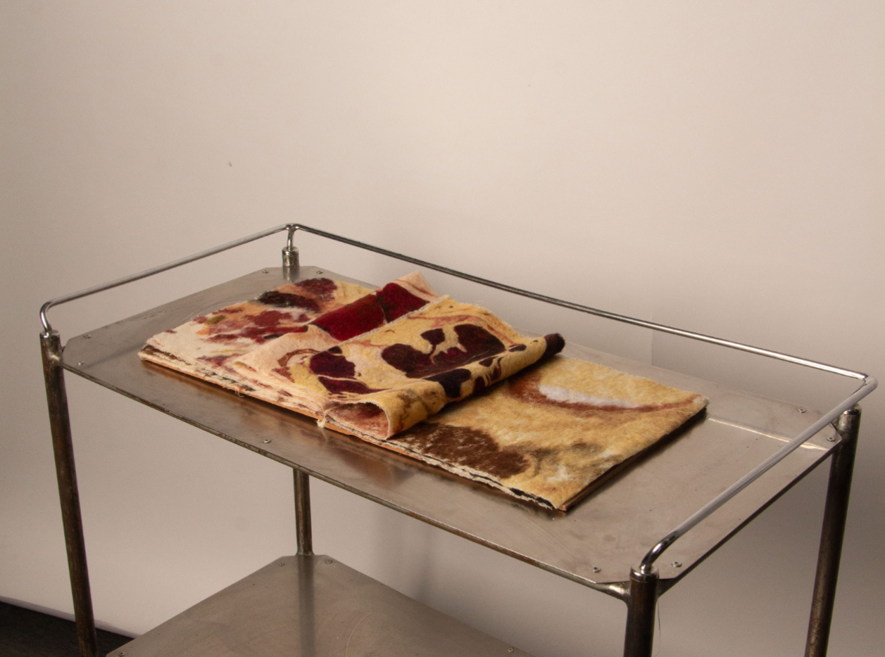 VISIBLE HUMAN: BOOK, portfolio item 3