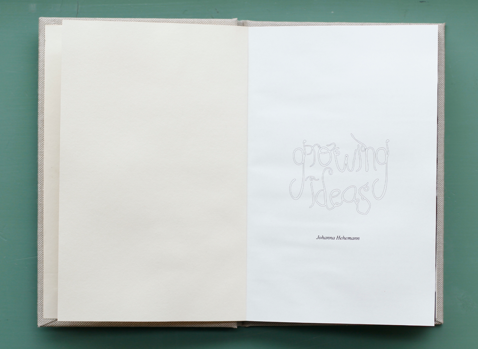 GROWING IDEAS, portfolio item 2