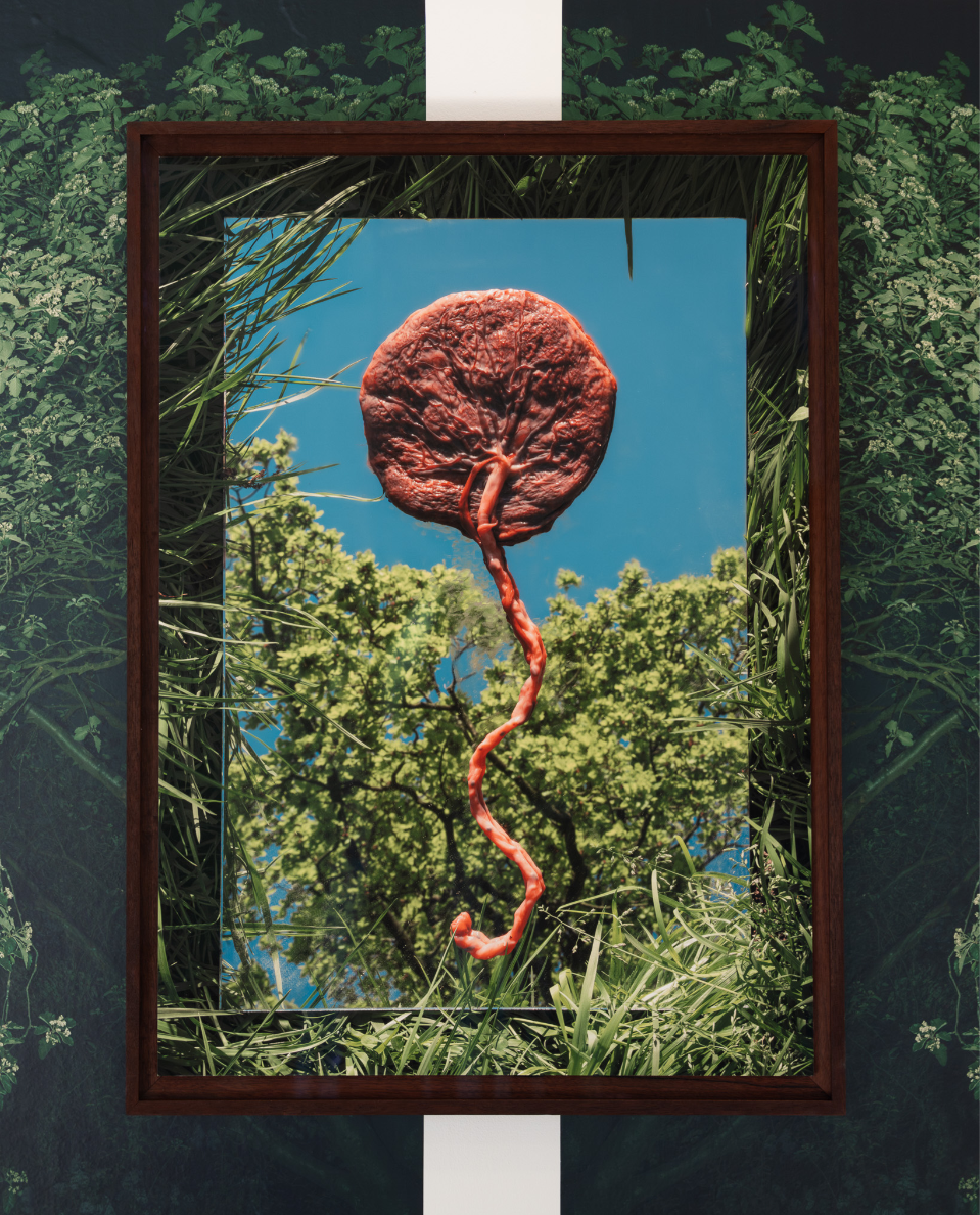 The rebirth of eve, portfolio item 2