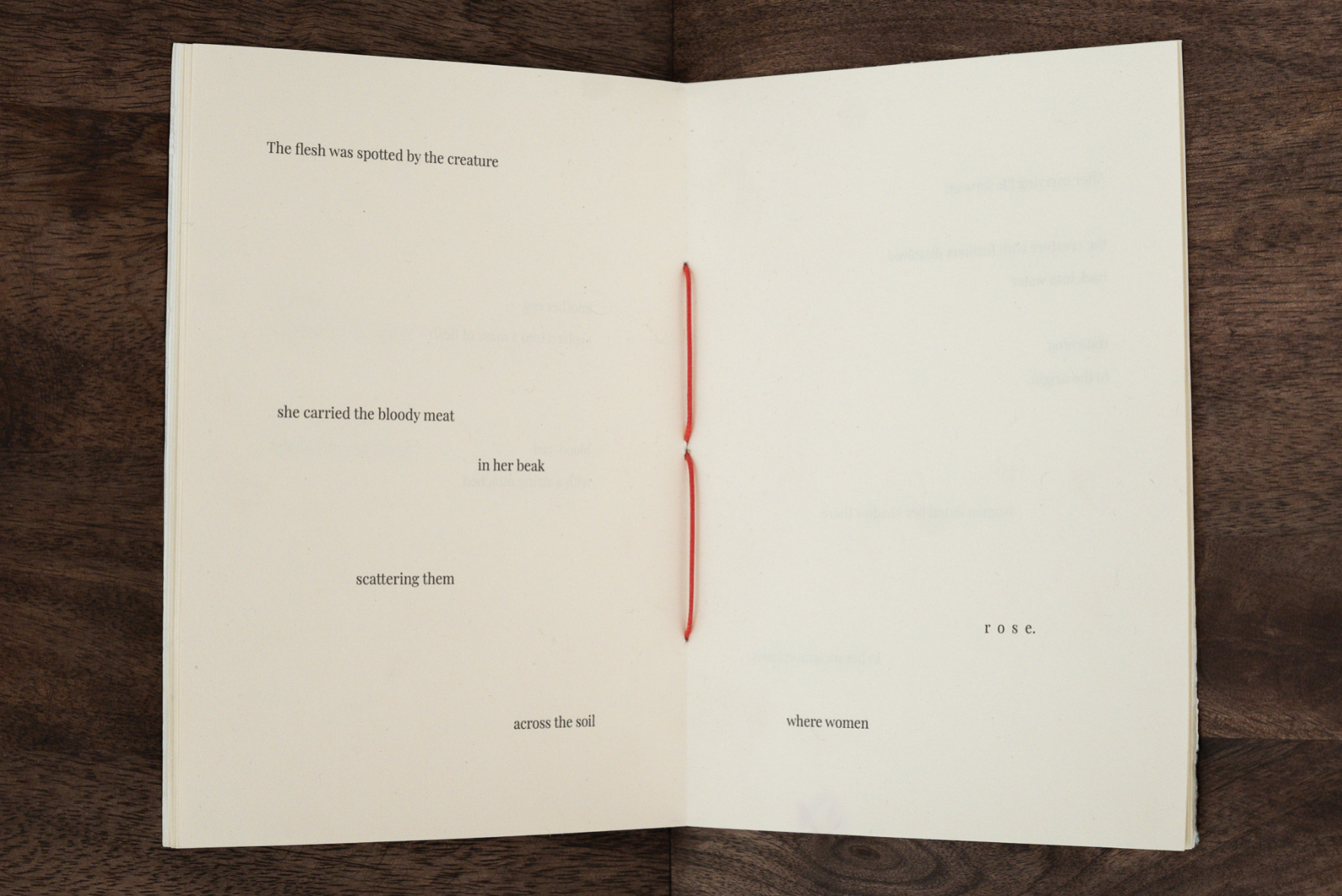 The rebirth of eve, portfolio item 6