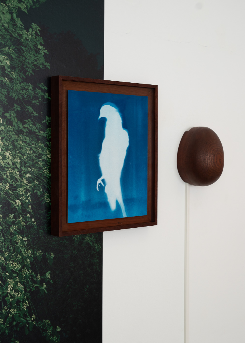 The rebirth of eve, portfolio item 8
