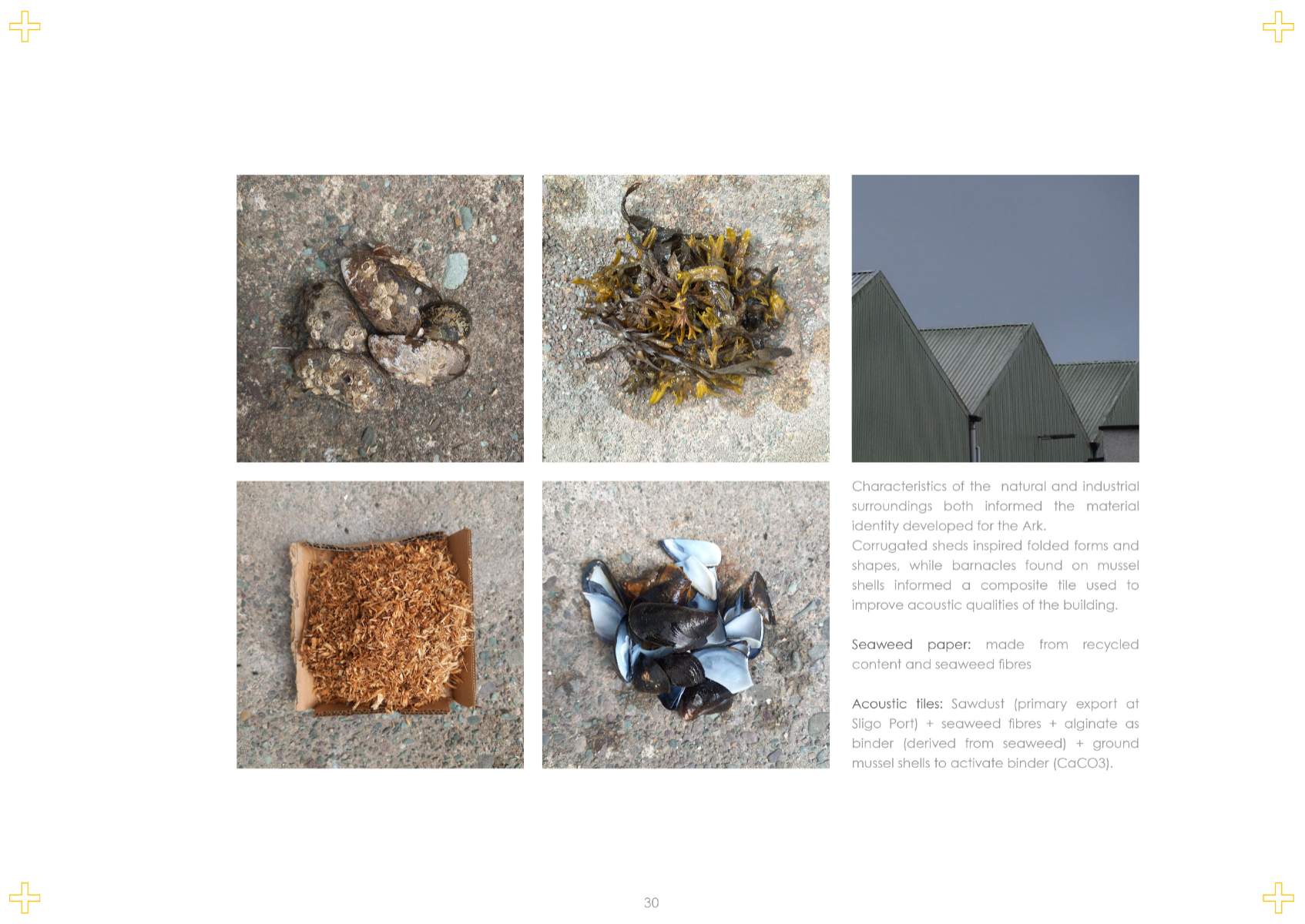 THe ark, portfolio item 15