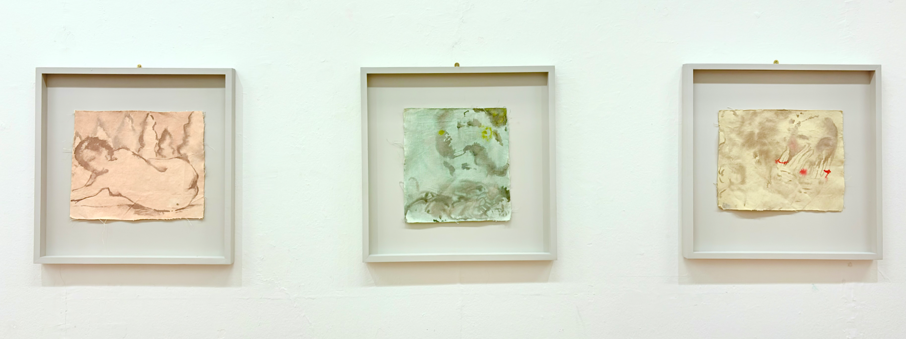 Apple Skins (degree show paintings), portfolio item 3