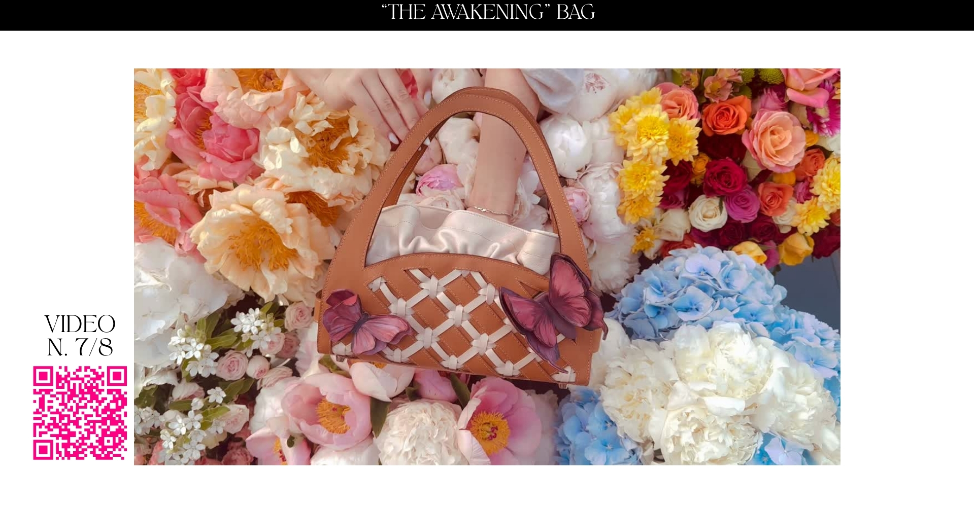 Picnic: alive bags, portfolio item 25