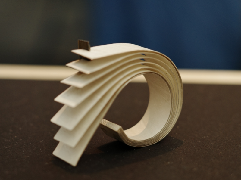 Ornaments of Resonance, portfolio item 2