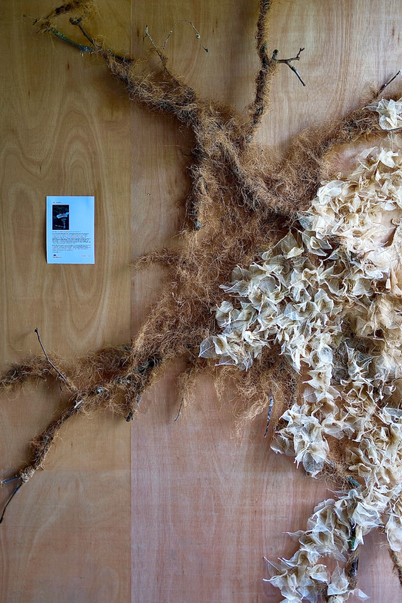 The healing roots, portfolio item 7