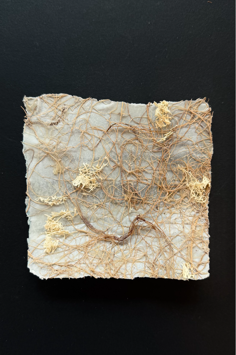 The healing roots, portfolio item 8