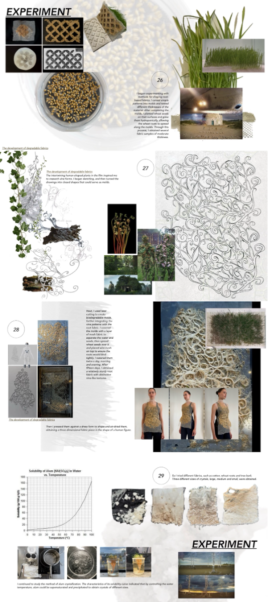The healing roots, portfolio item 13
